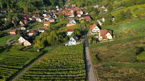 Reichsfeld Apartment | JANÉA Big Blue House