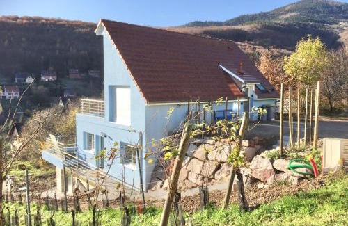 Reichsfeld Apartment | JANÉA Big Blue House