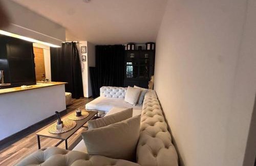 Le Busca Apartment | Jardin des plantes parking securise terrasse et ascenseur