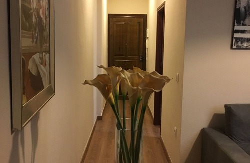 San Bernardo Apartment | JARDINES DE MURILLO APARTMENT