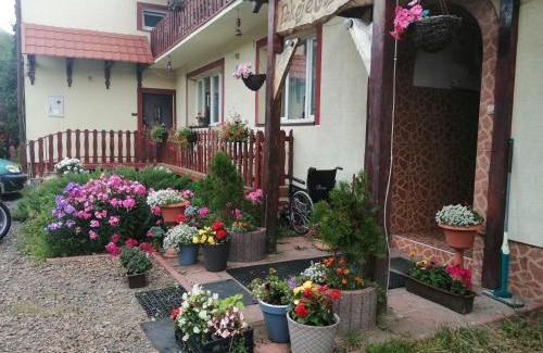 Rabe House | Jasionka