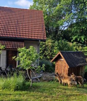 Nowa Ruda Villa | Jaworowy Stok z widokiem na góry i ogrodem