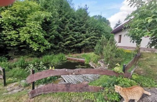 Nowa Ruda Villa | Jaworowy Stok z widokiem na góry i ogrodem
