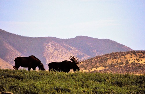 Whitehall Apartment | Jefferson River Loft