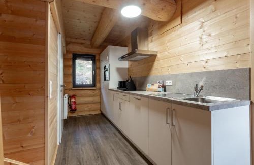 Jenig Ski Chalet | Jenig 4B