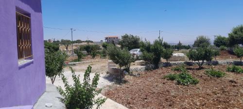Jordan Ski Chalet | Jerash mountain studio chalet شاليه جبال جرش و عجلون
