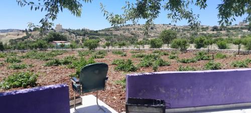 Jordan Ski Chalet | Jerash mountain studio chalet شاليه جبال جرش و عجلون