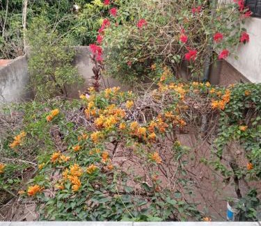 Province of Tucuman Apartment | JereSam 2 - Planta Alta