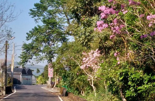 Lugu House | Jiji Village Villa B&B