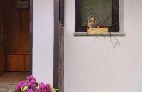 Lipova-Lazne House | Jirkova chata