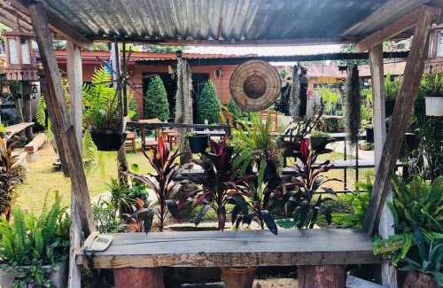 Chiang Khan Hotel | JJ at Chiangkhan