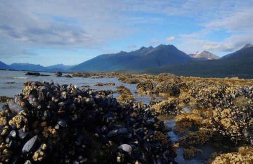 Juneau House | Juneau Oceanfront Home Overlooking Auke Bay