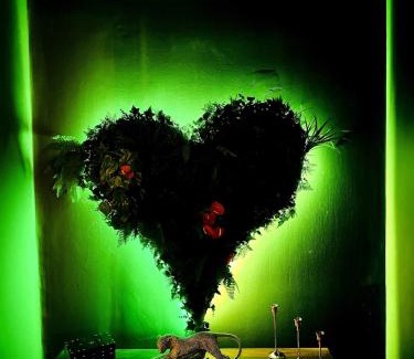 Belfort Apartment | Jungle Chic Apartment, Balneo, Close to center