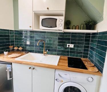 Fontainebleau Apartment | Jungle Deluxe Fontainebleau #INSEAD #CENTRE