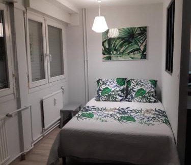 Plantieres Queuleu Apartment | Jungle