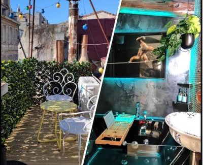 6th Arrondissement Apartment | Jungle Spa