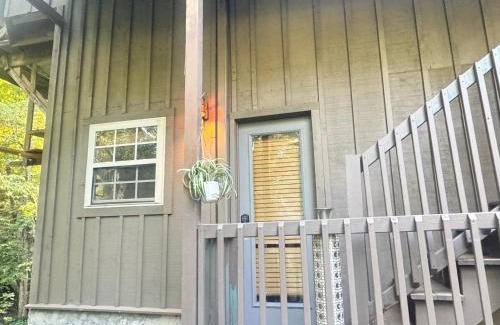 Gatlinburg - Pigeon Forge Apartment | Just Listed! THE GROTTO w In Suite Jacuzzi-Pets Welcome 420 Friendly Apartment