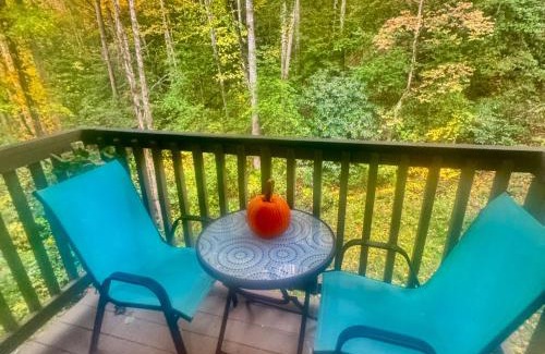 Gatlinburg - Pigeon Forge Apartment | Just Listed! THE GROTTO w In Suite Jacuzzi-Pets Welcome 420 Friendly Apartment