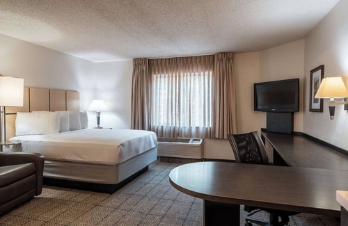 Park Central Hotel | Just What You Were Looking For! Free Parking, Pet-Friendly Property