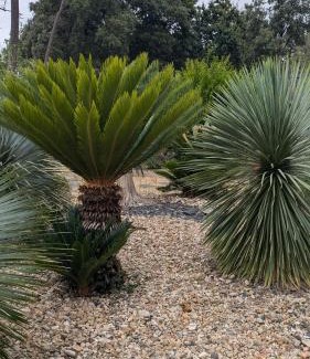 Saint-Hilaire-de-Riez Other | Kabana La palmeraie- confort- détente assurée - 7 kms plages