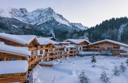 Scheffau am Wilden Kaiser Apartment | Kaiserlodge