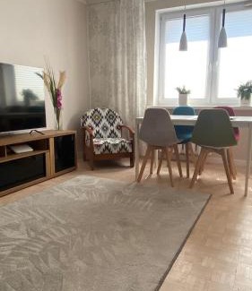Suwalki Apartment | Kaktusik