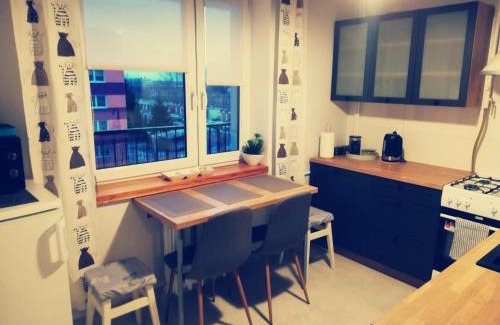 Suwalki Apartment | Kaktusik
