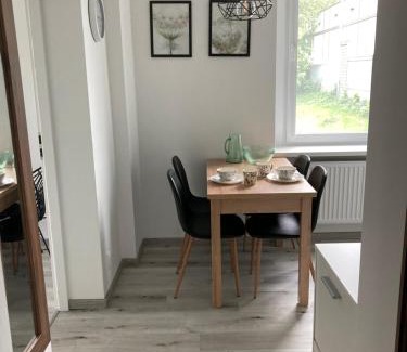 Nowe Miasto Apartment | Kamienica nad Maltą- Mieszkania nad Jeziorem Maltańskim