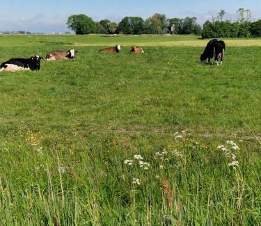 Jannum Other | Kamperen in Jannum