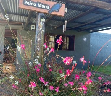 Villa Amancay House | Kapo TEAM , el zorzal