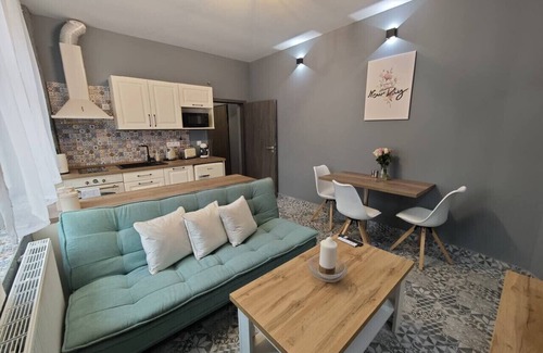 Karlovy Vary Condo | Karlovy Cute Inn: 1BR apartment