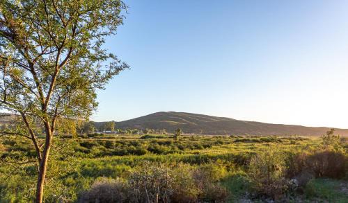 Oudtshoorn Apartment | Karoo Lavender