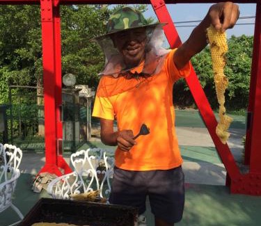 Xiluo House | Kawada House Homestay