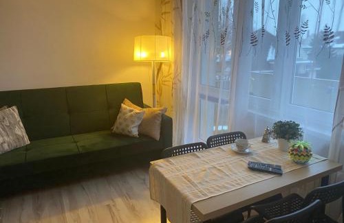 Elblag Apartment | kawalerka PIECHOTY 5 os CENTRUM