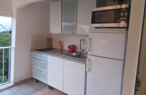 Pointe-a-Pitre Apartment | Kazasoleï