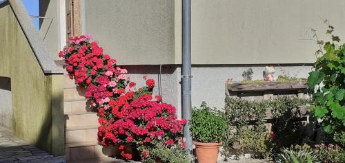 Loznati Apartment | Kelk Loznati