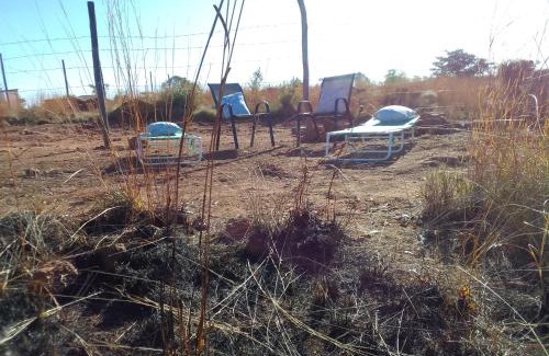 Soshanguve Other | KGOLA SAFARIS