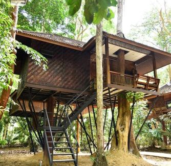 Khlong Sok Resort | Khao Sok Nature Resort