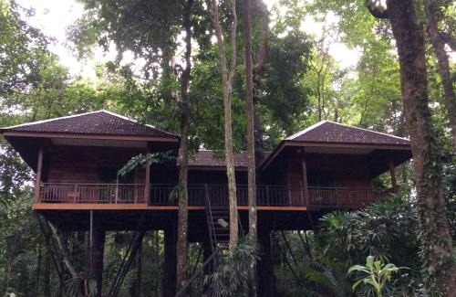 Khlong Sok Resort | Khao Sok Nature Resort