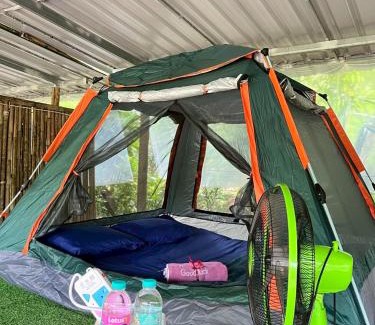 Khlong Sok Bed & Breakfast | Khaosok Mysterious Restaurant and Camp ร้านลึกลับริมคลอง