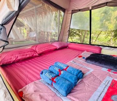 Khlong Sok Bed & Breakfast | Khaosok Mysterious Restaurant and Camp ร้านลึกลับริมคลอง