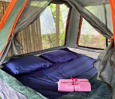 Khlong Sok Bed & Breakfast | Khaosok Mysterious Restaurant and Camp ร้านลึกลับริมคลอง