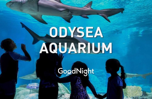 Buenavante House | KIERLAND KNOCKOUT - 5 BR WITH BACKYARD OASIS