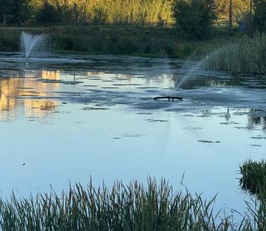 Greater Johannesburg Metropolitan Area Apartment | Kikuyu Hotel Apartments