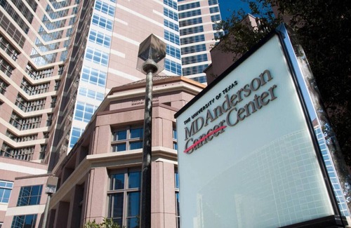 Astrodome Apartment | King 1 Bed 1 Bath | walk to NRG | near MD Anderson