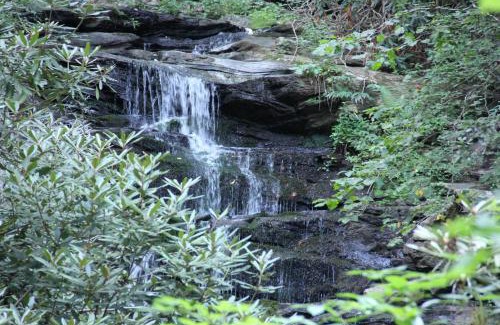 Clayton Resort | Kingwood Resort & Golf Club