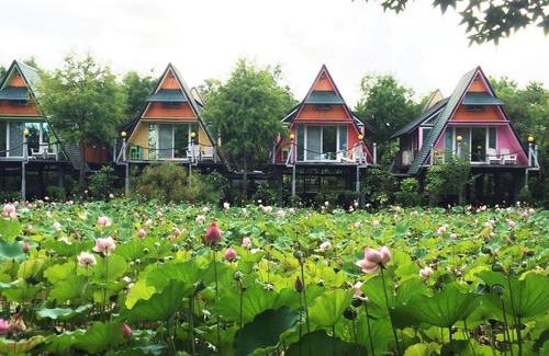 Dongshan Ski Chalet | Kitefarm