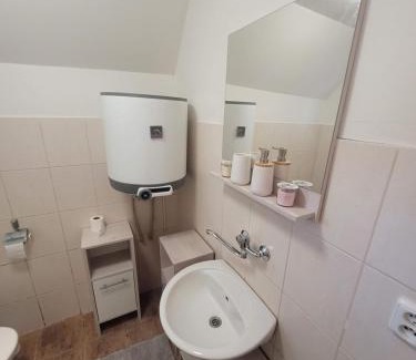Bulhary House | Kolo a ryby Bulhary