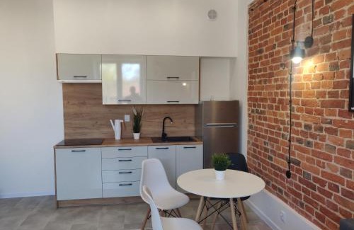 Pabianice Apartment | Konopnickiej 9 Apartament Loft dostęp na kod, Ptak, Orientarium, Atlas ARENA, Szpital, Mandoria, Fala, Centrum Zdrowia Matki Polki, Rodzina, Family, bezpłatny parking