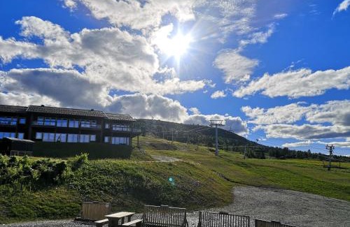 Golsfjellet Apartment | Koselig leilighet med ski in ski out på Golsfjellet